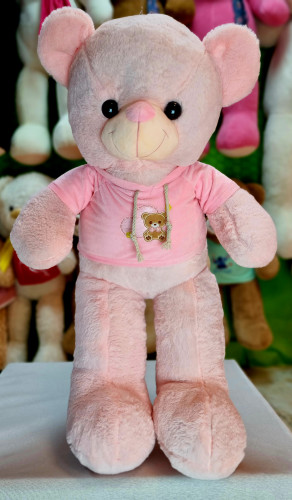 عروسک خرس ایستاده طرح لباس هودی